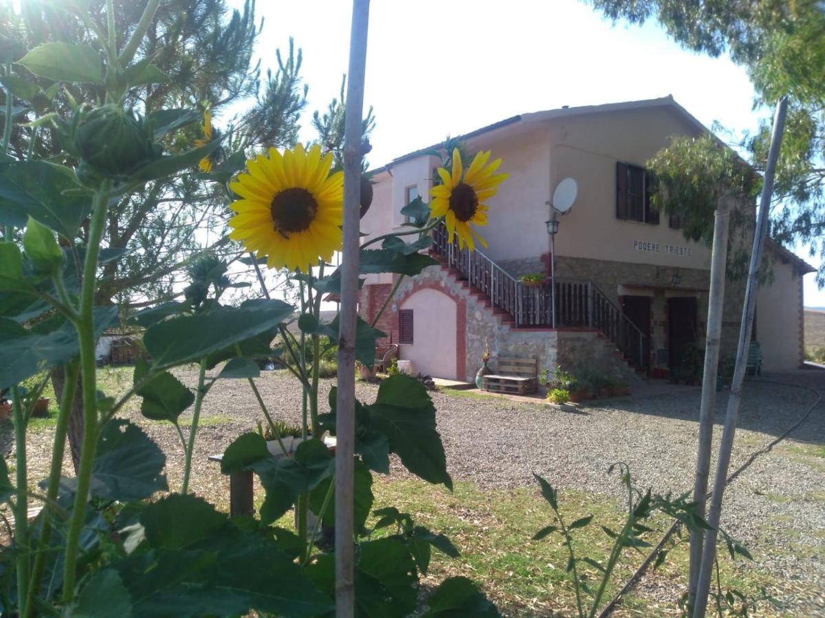 Villa Enjoy Sunset Colle Massari Exterior foto